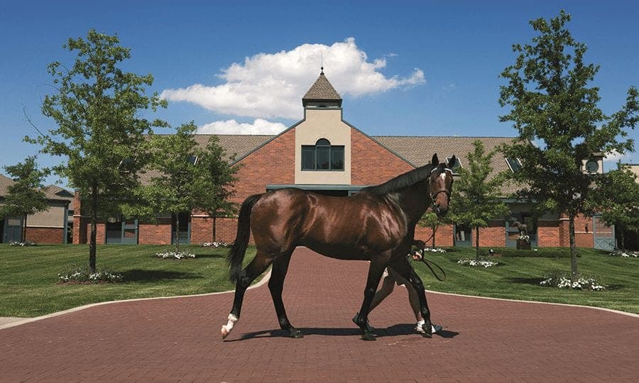 godolphin stable tours