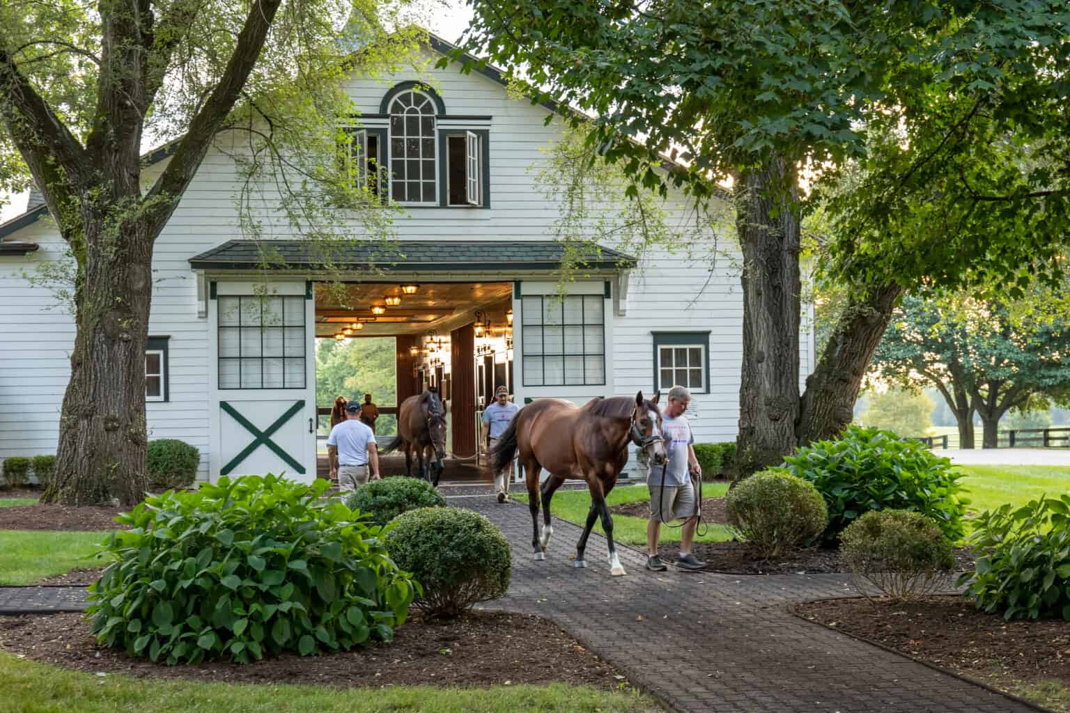 VISIT HORSE COUNTRY 2020 Preakness Stakes Horse Country Connections