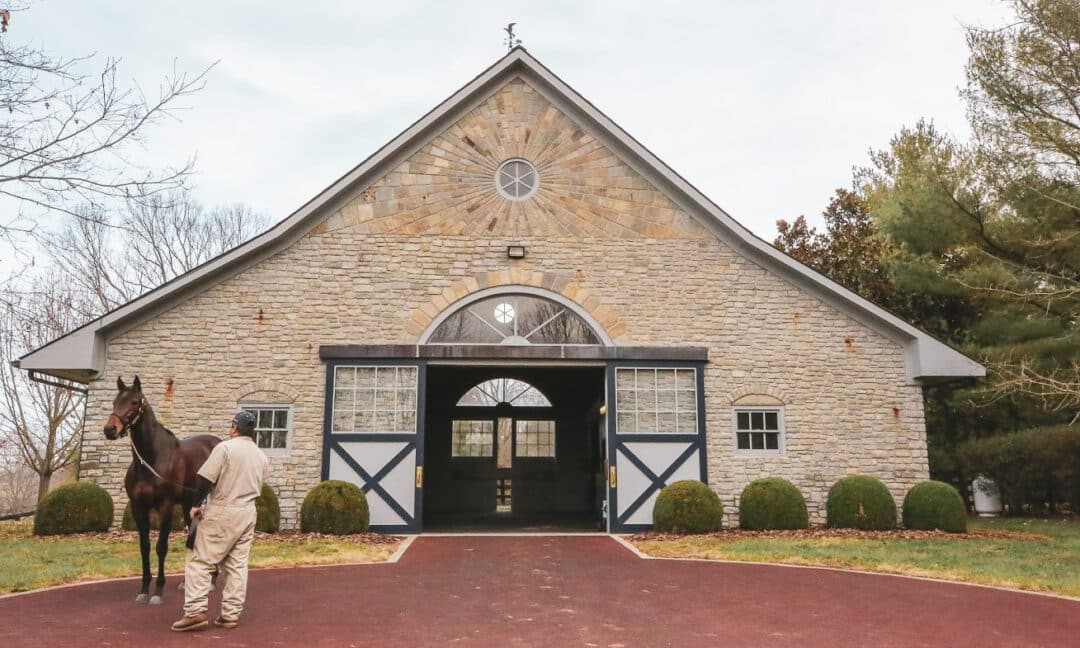 can you visit coolmore stud ireland