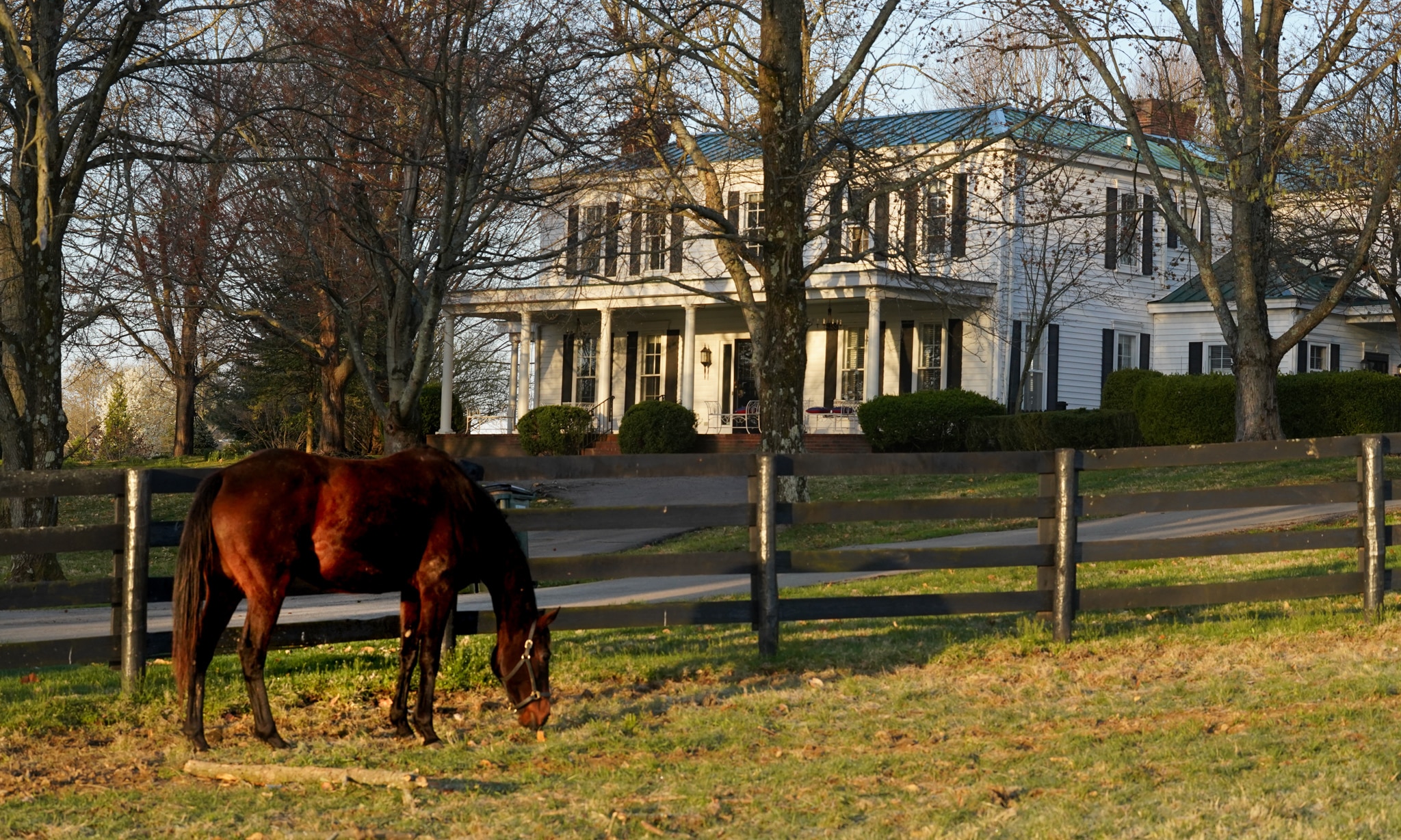 VISIT HORSE COUNTRY | TRF Sanctuary Farm at Chestnut Hall