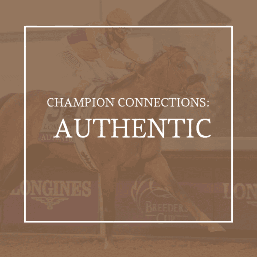 VISIT HORSE COUNTRY Horse Country Champion Connections