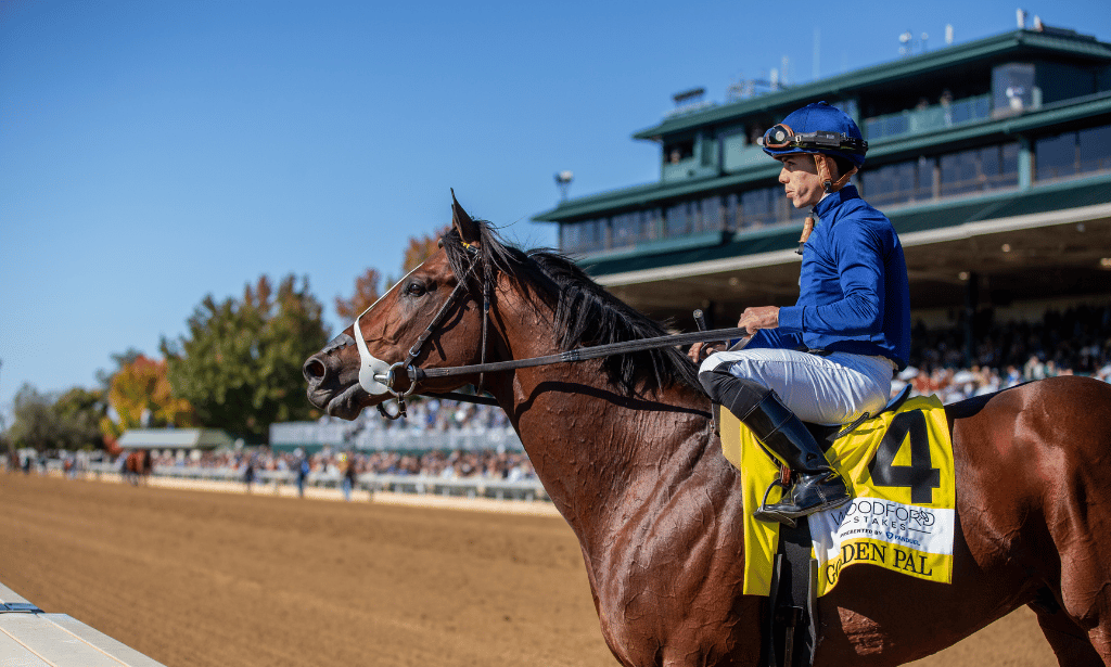 Career Bows: Future Horse Country Stallions in the Breeders’ Cup