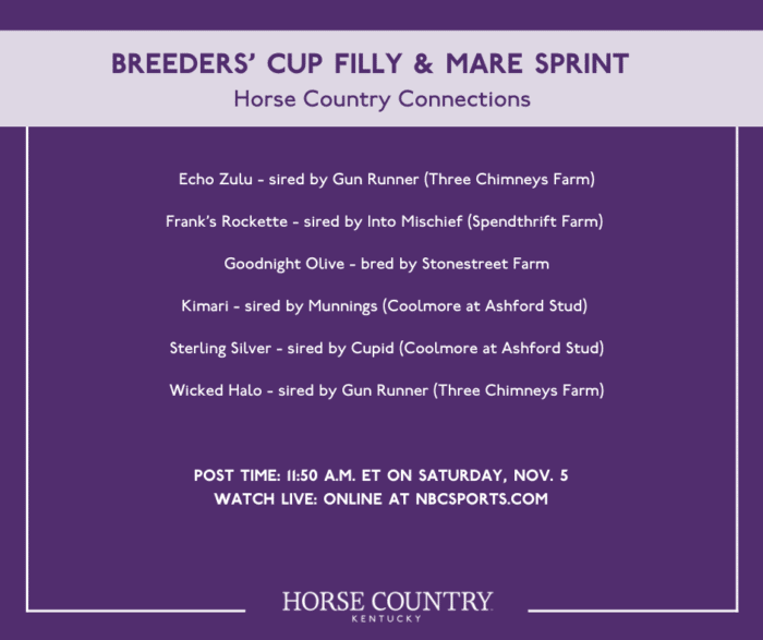 VISIT HORSE COUNTRY Horse Country Connections 2022 Breeders’ Cup