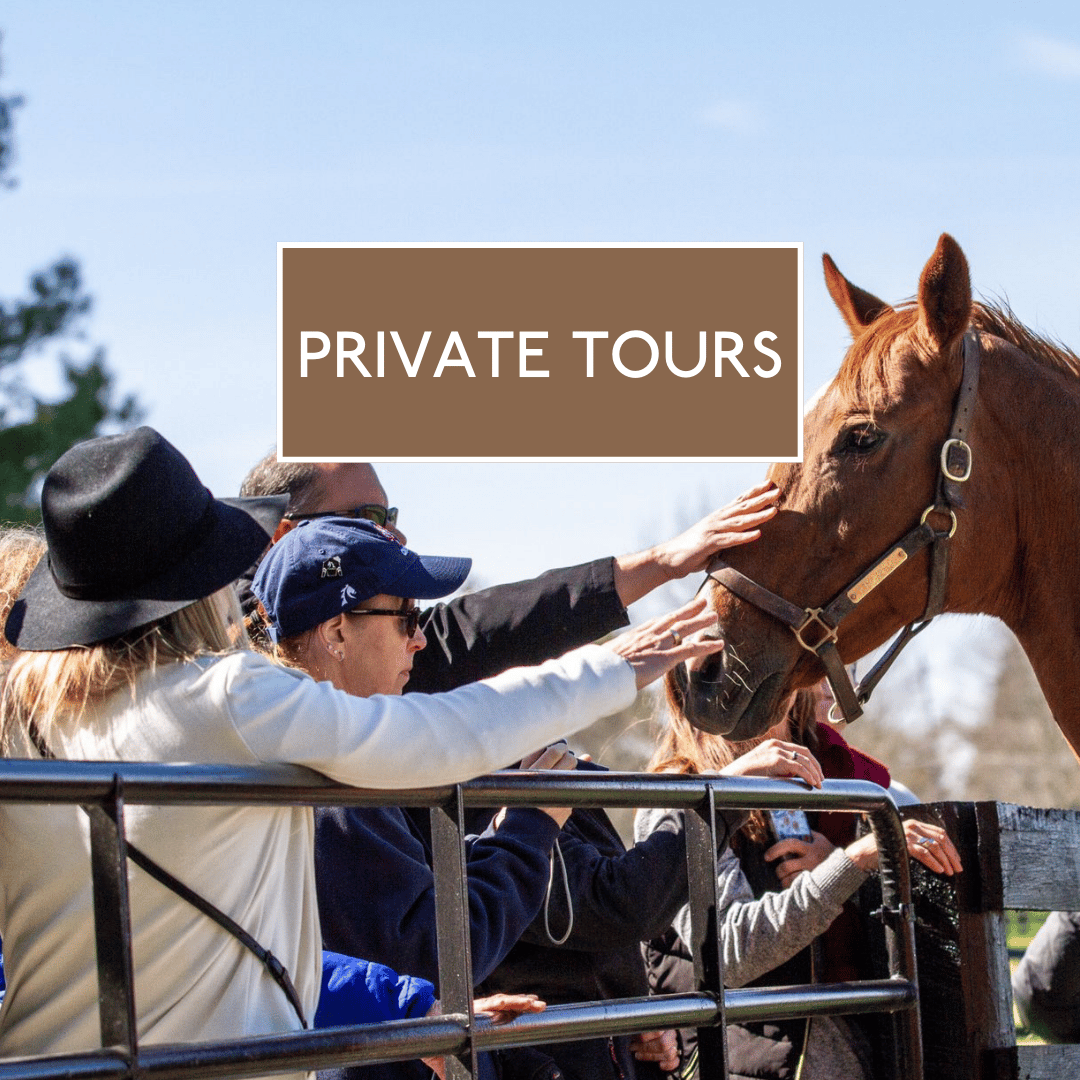 horse country tours promo code