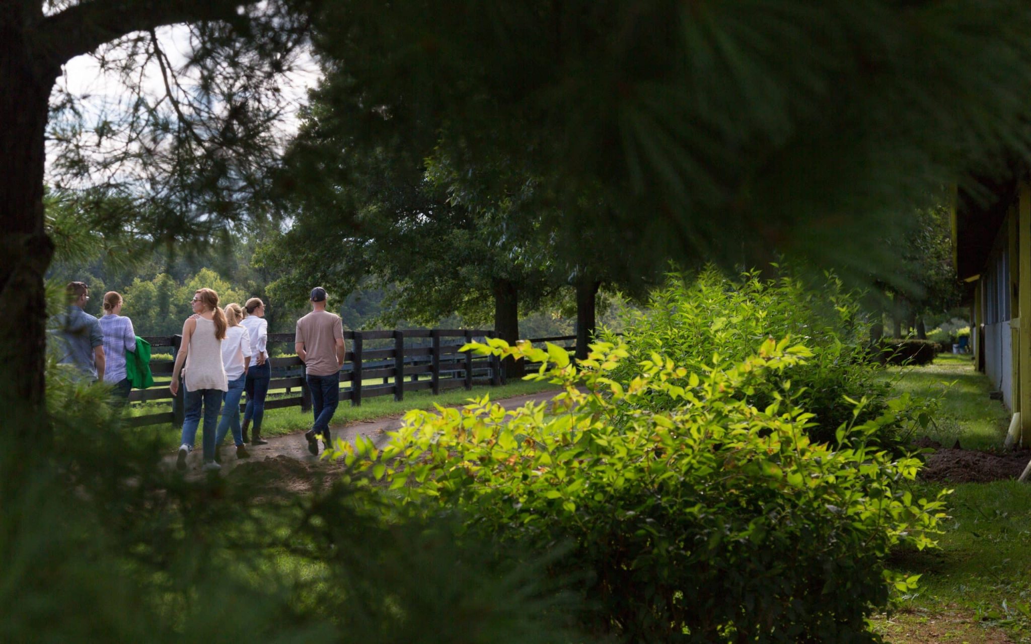 VISIT HORSE COUNTRY Plan Your Visit