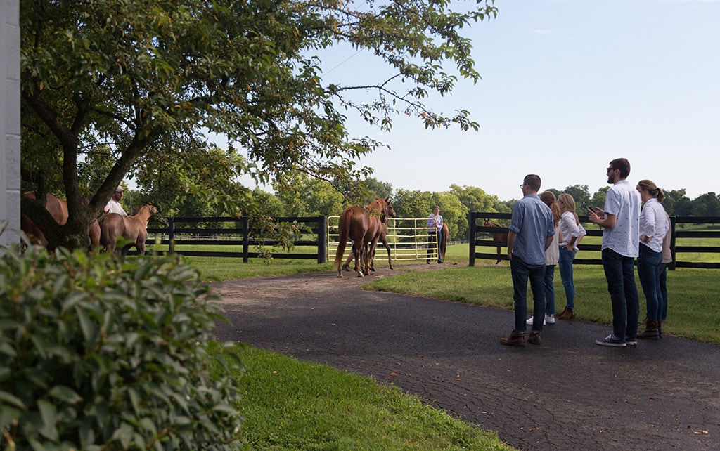 horse farm tours shelbyville ky