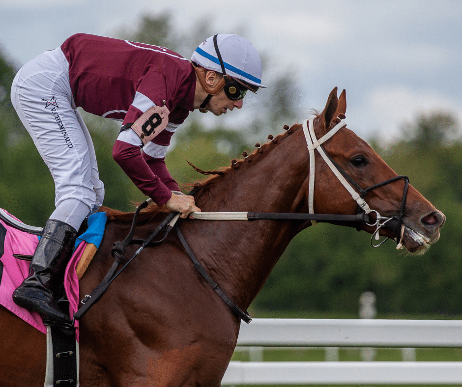 Horse Country Connections: 2023 Preakness Stakes