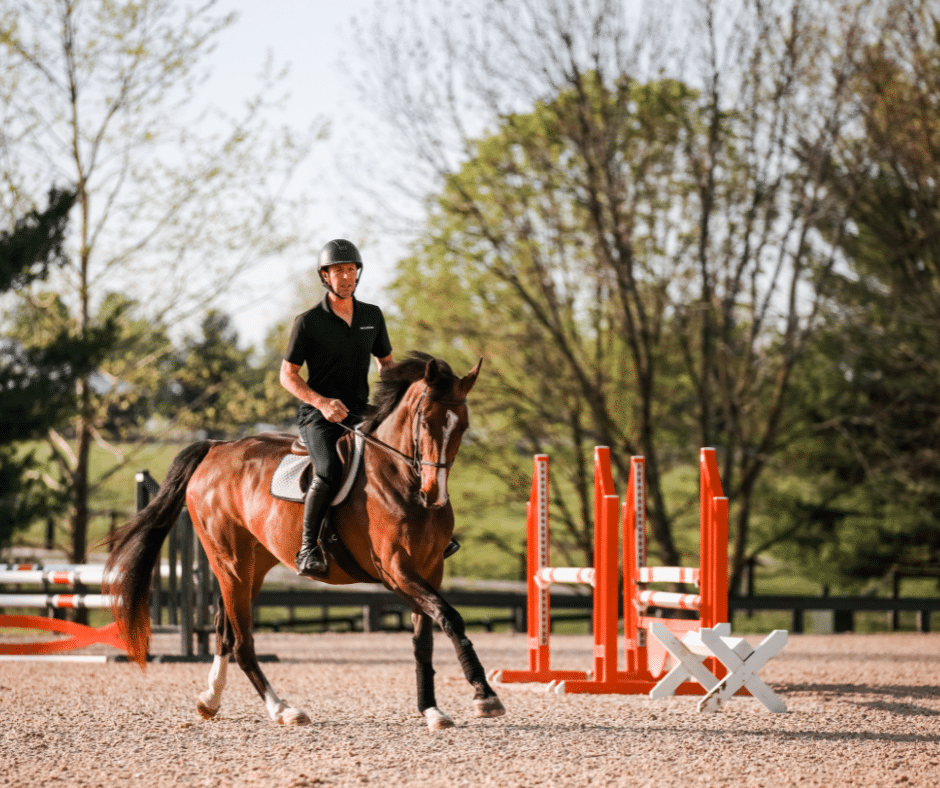 Spotlight on Sport Horse, Adoption, and Aftercare Facilities