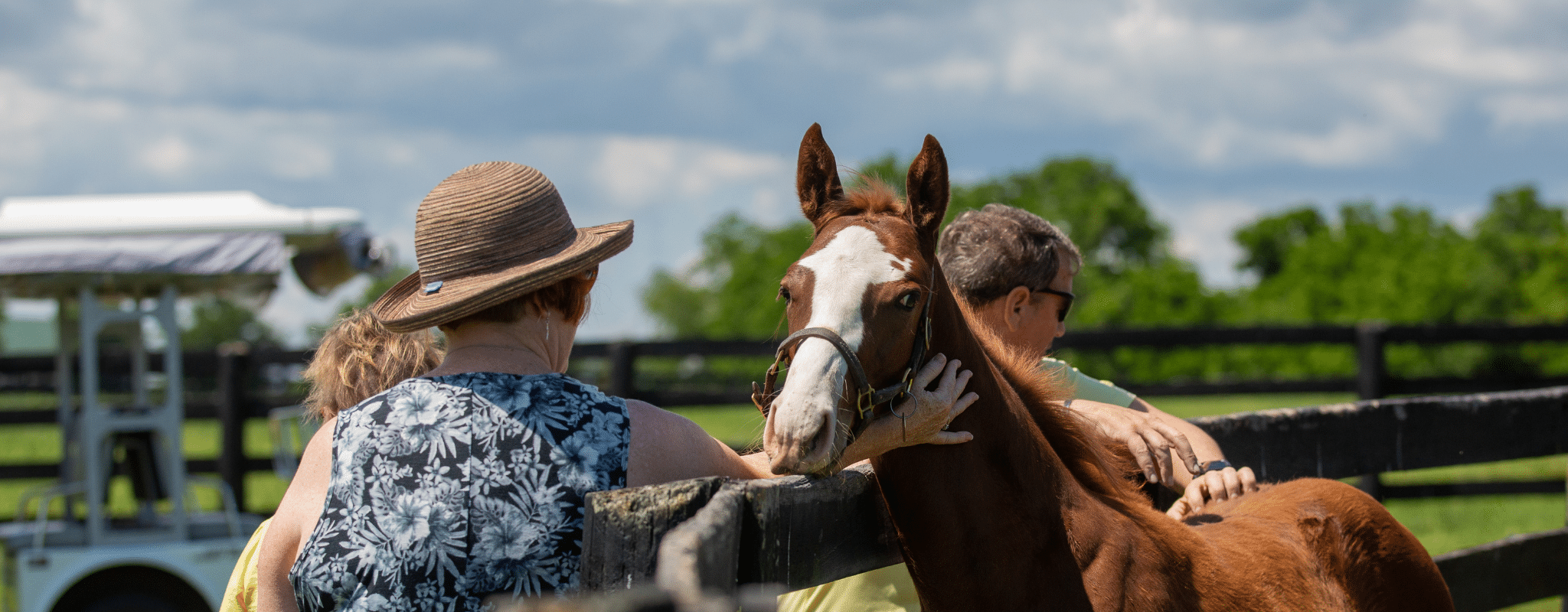 Five Reasons to Visit Horse Country in 2024