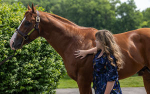 Things to do this Summer in Horse Country