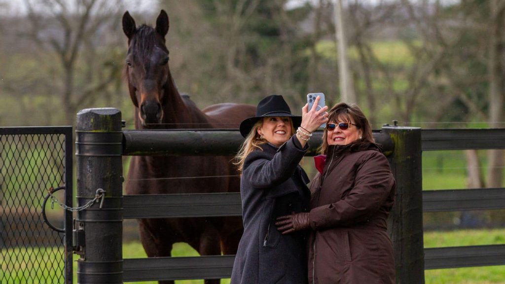 Horse Farm Tour Jonabell