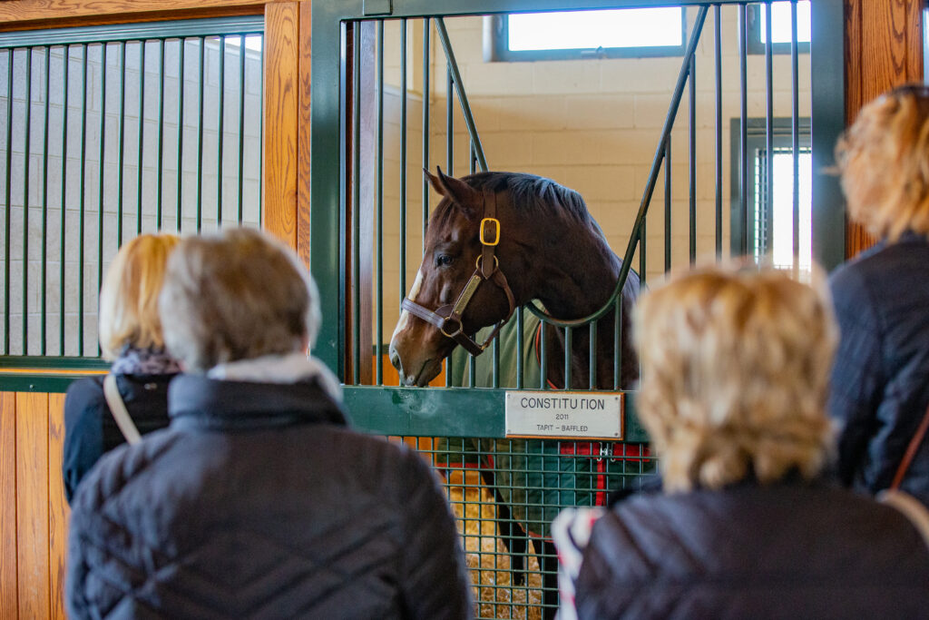 WinStar Farm Stallion Tour