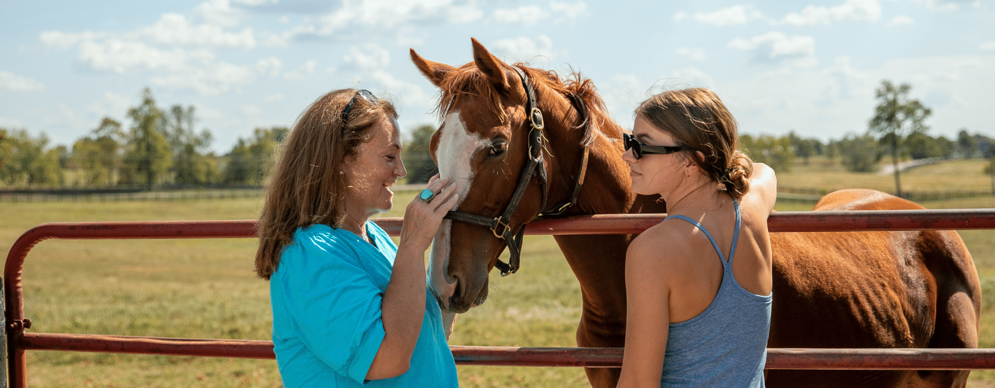 Best Family Friendly Horse Farm Tours in Central Kentucky