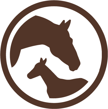 Horse Country Category: Mares & Foals