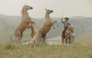 Double Dan Horsemanship joins Horse Country, Inc. Touring Program