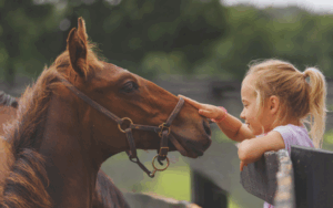 Local Lexingtonian greets young horse on a Meet the Neighbors horse farm tour in Lexington, Ky.