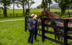 Plan Your Day Trip to Versailles, Kentucky