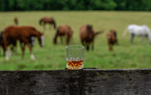Bays & Bourbon: Pairing Horse Farm and Distillery Tours