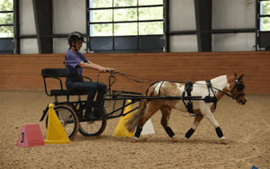 EquiConnect: Community Equine Day at Spy Coast Farm