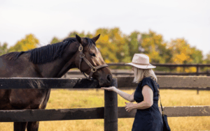 Fall in Horse Country