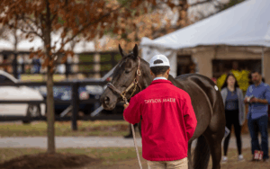 Behind-the-Scenes with Taylor Made Sales at Fasig-Tipton