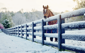 Holiday Hay-Ride at Chestnut Hall Farm
