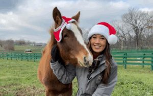 Christmas on the Farm at BraveHearts Equine Center