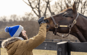 Winter in Woodford County Itinerary