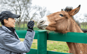 Valentine's Day 'Carrot Gram' Tour at BraveHearts Equine Center
