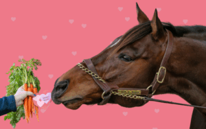 Valentine's Day Carrot-Gram Fundraiser