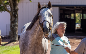 MyRacehorse Joins Visit Horse Country as Official Sponsor