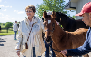 Day Trip Itinerary: Diamond A Farm and Castle & Key Distillery