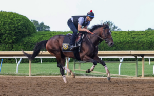 Horse Country Connections to the 2026 Belmont Stakes