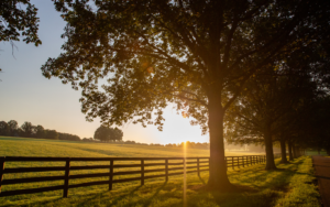 Wellness in Kentucky's Horse Country