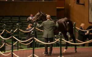 Get an Inside Look at the Keeneland September Yearling Sale