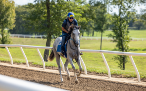 Day Trip Itinerary: Pin Oak Stud and Woodford Reserve