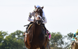 Breeders' Cup Championship Party at WinStar Farm