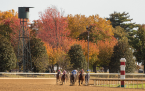 Guide to the Keeneland Fall Meet