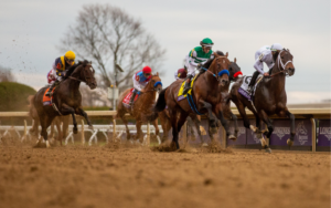 Farms where you can meet Breeders' Cup Champions