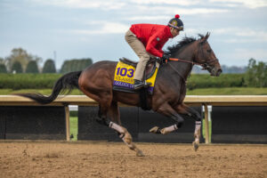 A Look at Breeders' Cup Championship Saturday