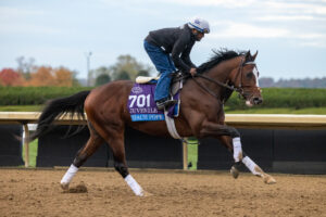 A Look at Breeders' Cup Future Stars Friday