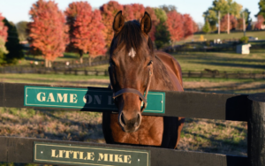 Visit Horse Country Welcomes Old Friends to Its Membership, Forging Stronger Bonds for Thoroughbred Welfare and Tourism